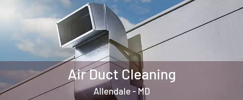 Air Duct Cleaning Allendale - MD