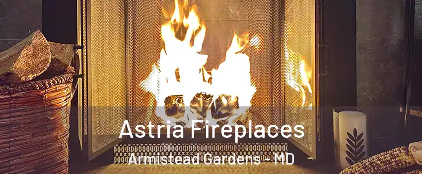 Astria Fireplaces Armistead Gardens - MD