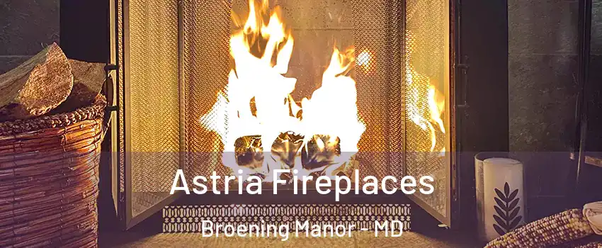 Astria Fireplaces Broening Manor - MD