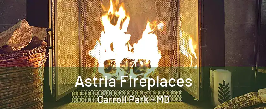 Astria Fireplaces Carroll Park - MD