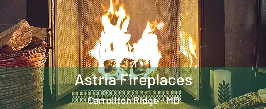 Astria Fireplaces Carrollton Ridge - MD