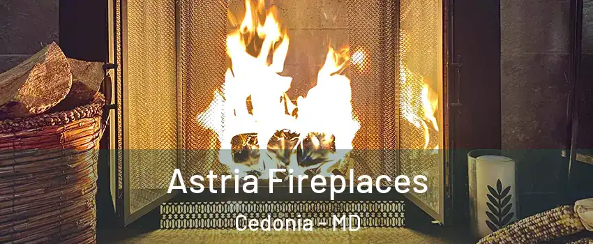 Astria Fireplaces Cedonia - MD