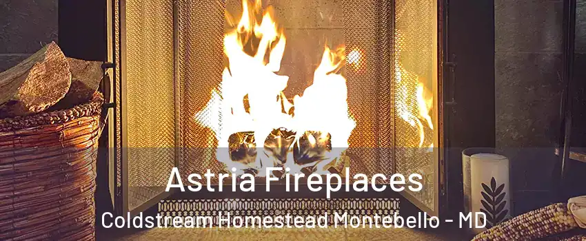 Astria Fireplaces Coldstream Homestead Montebello - MD