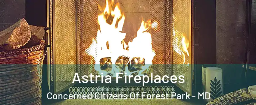 Astria Fireplaces Concerned Citizens Of Forest Park - MD