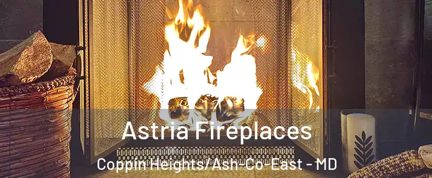 Astria Fireplaces Coppin Heights/Ash-Co-East - MD