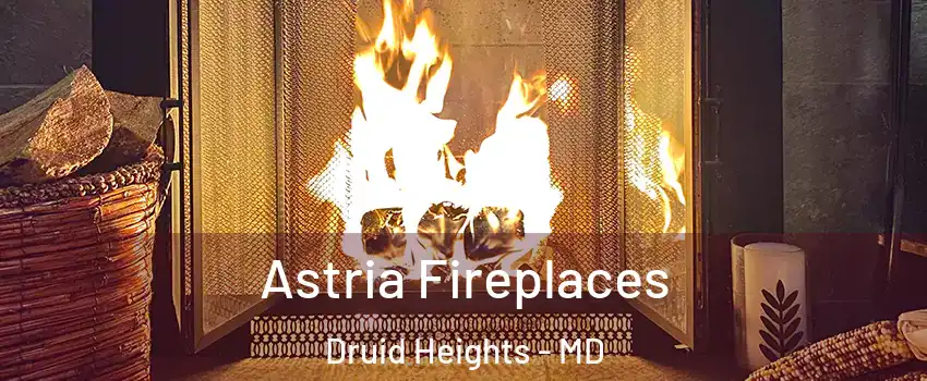 Astria Fireplaces Druid Heights - MD