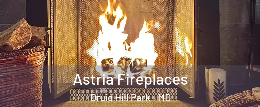 Astria Fireplaces Druid Hill Park - MD