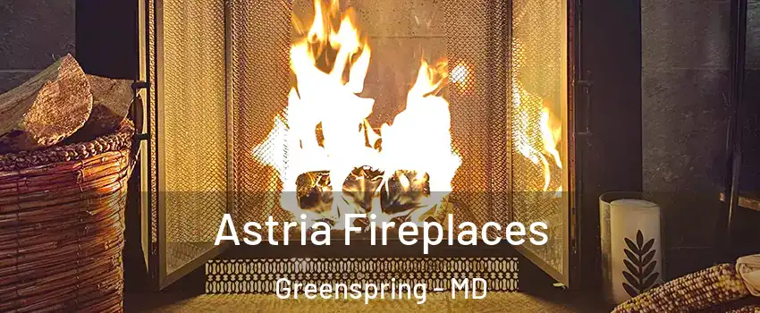 Astria Fireplaces Greenspring - MD