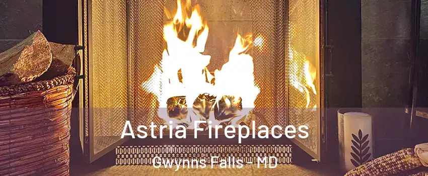 Astria Fireplaces Gwynns Falls - MD