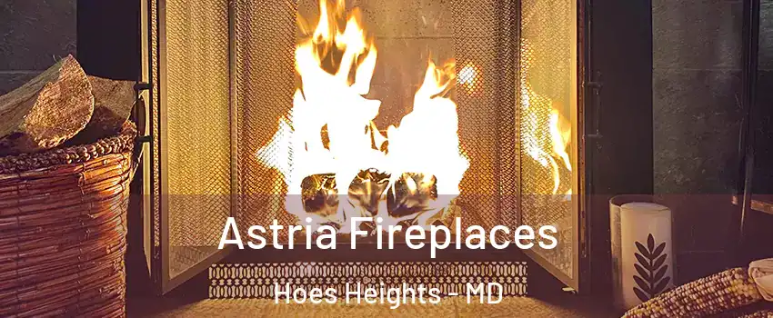 Astria Fireplaces Hoes Heights - MD