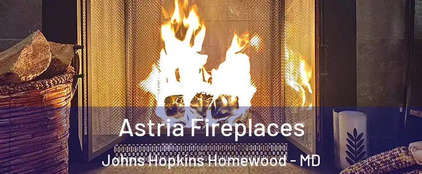 Astria Fireplaces Johns Hopkins Homewood - MD