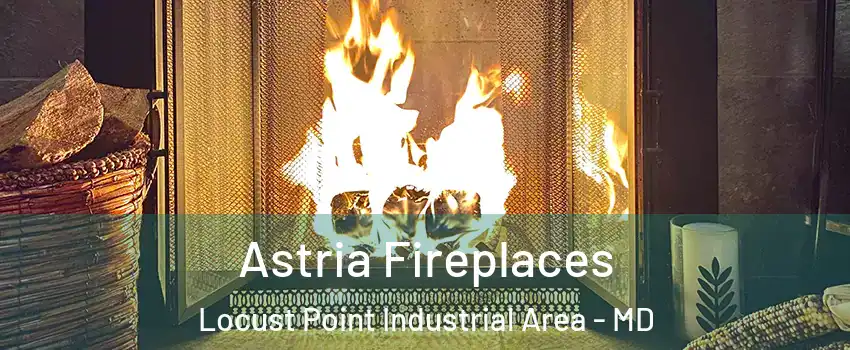 Astria Fireplaces Locust Point Industrial Area - MD