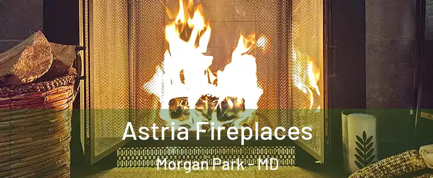 Astria Fireplaces Morgan Park - MD
