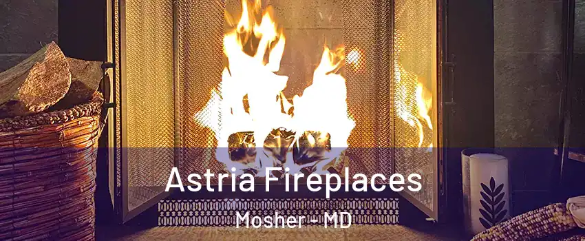 Astria Fireplaces Mosher - MD