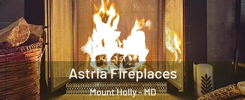 Astria Fireplaces Mount Holly - MD