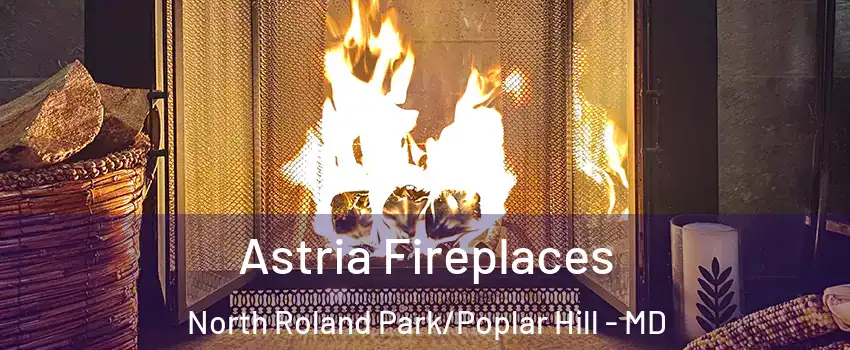 Astria Fireplaces North Roland Park/Poplar Hill - MD