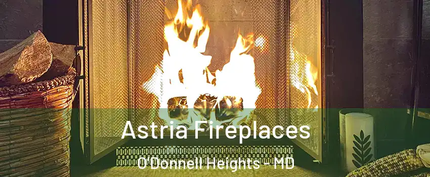 Astria Fireplaces O'Donnell Heights - MD