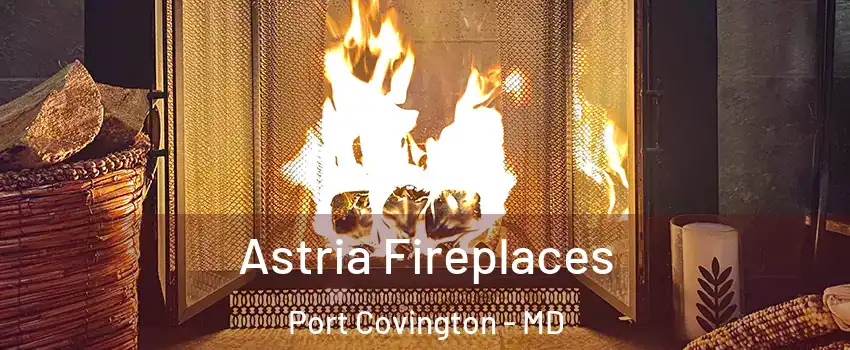 Astria Fireplaces Port Covington - MD