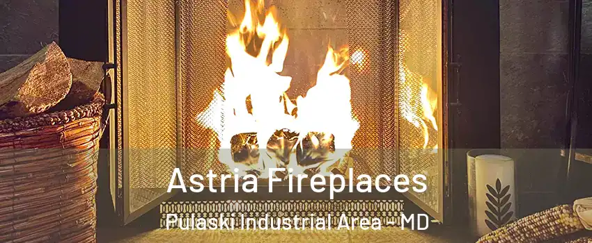 Astria Fireplaces Pulaski Industrial Area - MD
