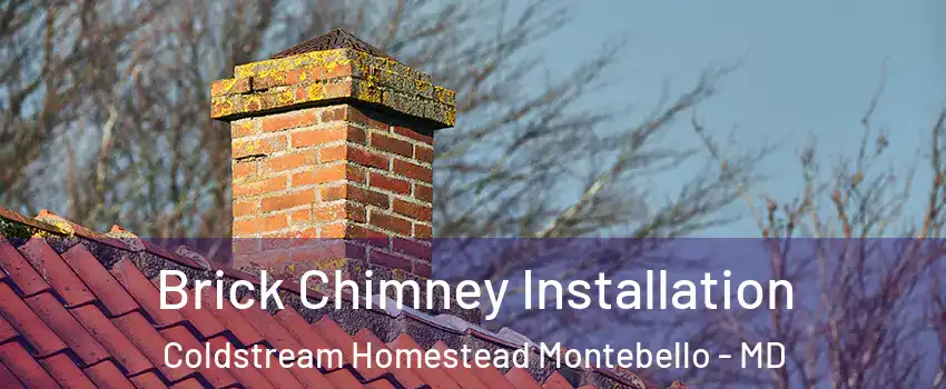 Brick Chimney Installation Coldstream Homestead Montebello - MD