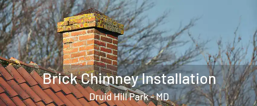 Brick Chimney Installation Druid Hill Park - MD