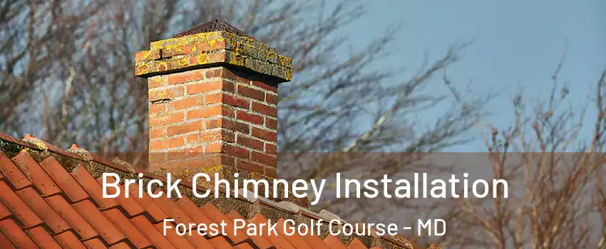 Brick Chimney Installation Forest Park Golf Course - MD