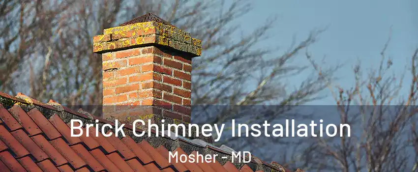 Brick Chimney Installation Mosher - MD