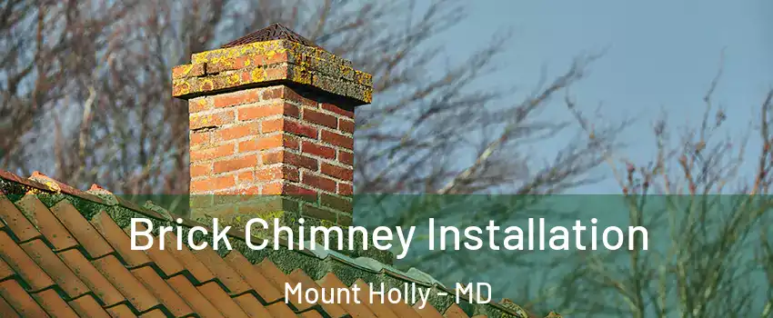 Brick Chimney Installation Mount Holly - MD