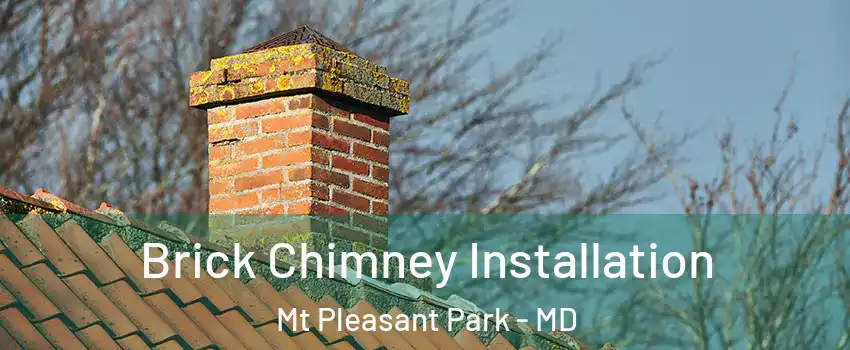 Brick Chimney Installation Mt Pleasant Park - MD