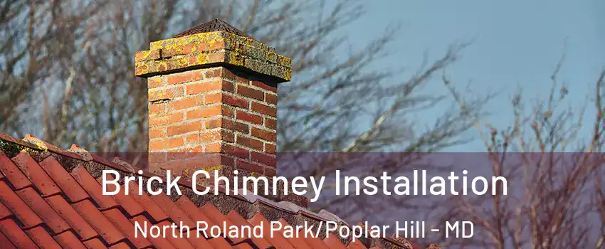 Brick Chimney Installation North Roland Park/Poplar Hill - MD