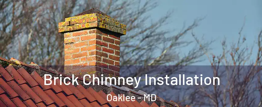 Brick Chimney Installation Oaklee - MD