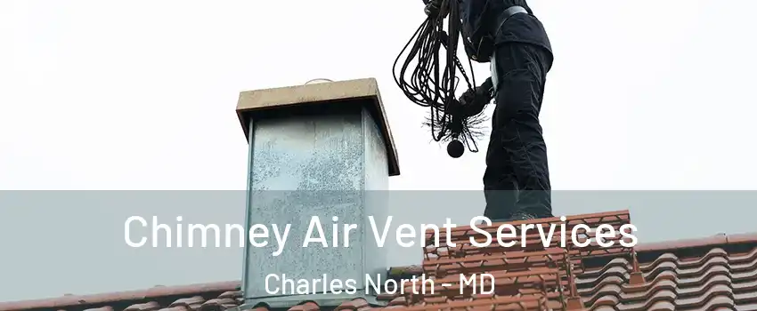 Chimney Air Vent Services Charles North - MD