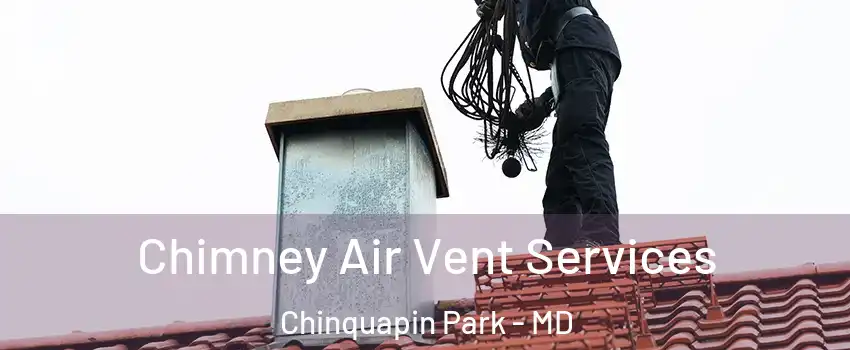 Chimney Air Vent Services Chinquapin Park - MD