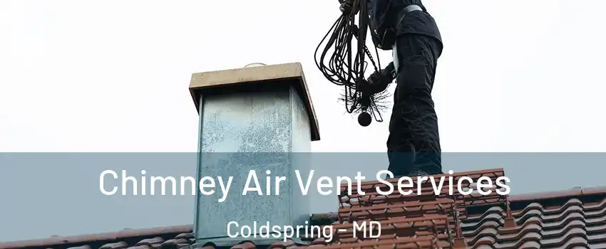 Chimney Air Vent Services Coldspring - MD