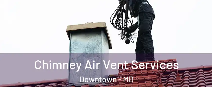 Chimney Air Vent Services Downtown - MD