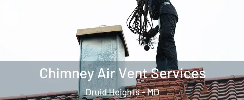 Chimney Air Vent Services Druid Heights - MD