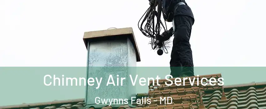 Chimney Air Vent Services Gwynns Falls - MD