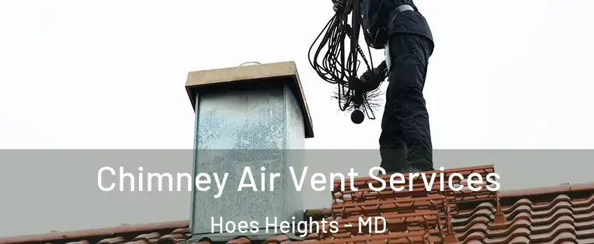 Chimney Air Vent Services Hoes Heights - MD