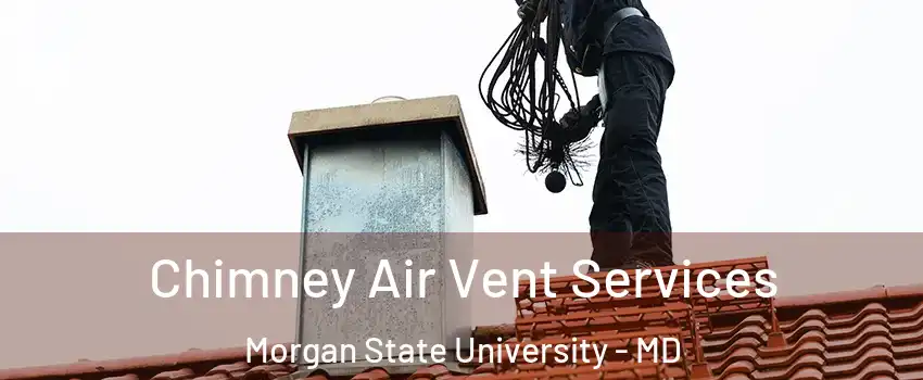 Chimney Air Vent Services Morgan State University - MD