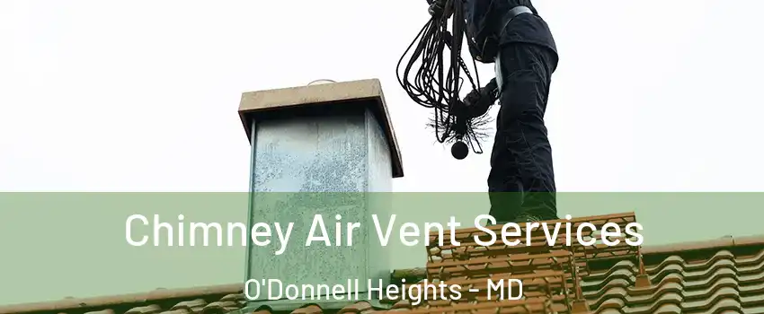 Chimney Air Vent Services O'Donnell Heights - MD