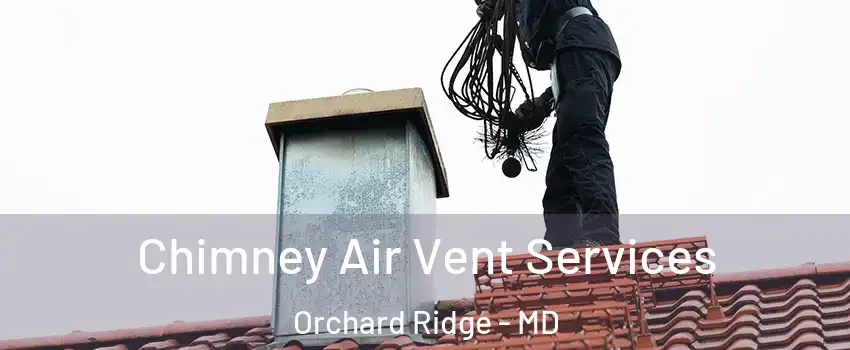 Chimney Air Vent Services Orchard Ridge - MD