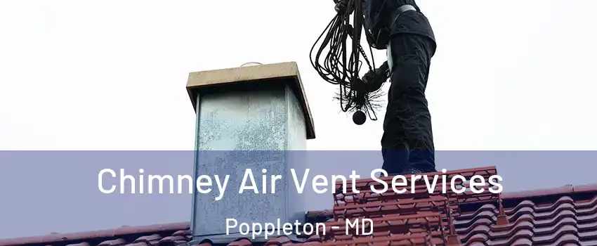 Chimney Air Vent Services Poppleton - MD