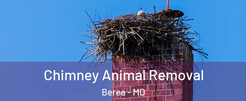Chimney Animal Removal Berea - MD