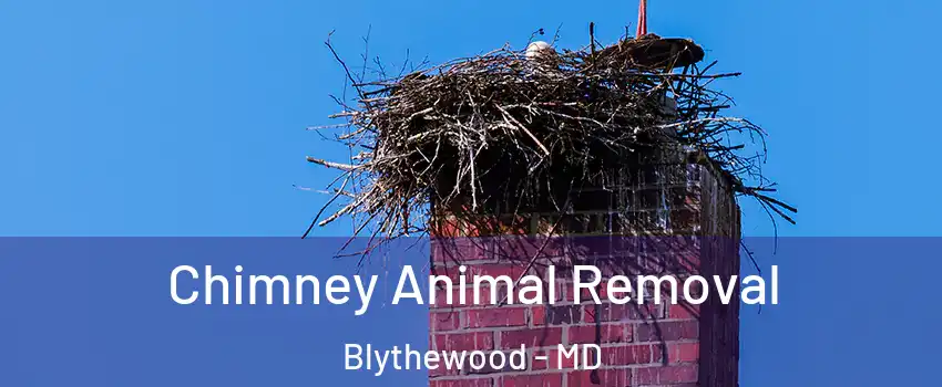 Chimney Animal Removal Blythewood - MD