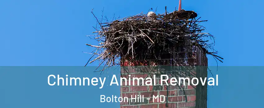Chimney Animal Removal Bolton Hill - MD