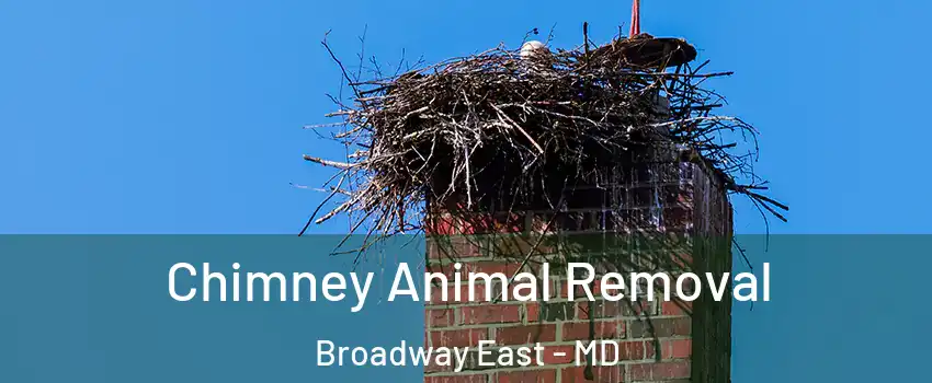 Chimney Animal Removal Broadway East - MD
