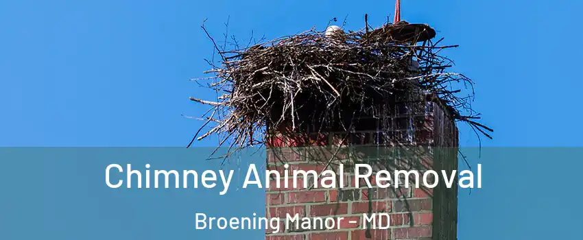 Chimney Animal Removal Broening Manor - MD
