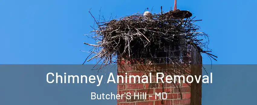 Chimney Animal Removal Butcher'S Hill - MD
