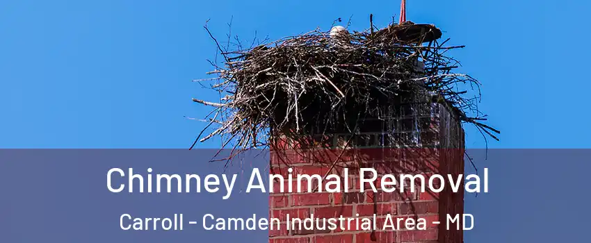 Chimney Animal Removal Carroll - Camden Industrial Area - MD
