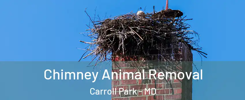 Chimney Animal Removal Carroll Park - MD